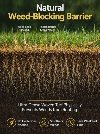 [99% Germination Rate in 7 Days] Multi-Variety Grass Seeds